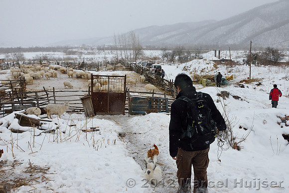Removing snares and traps (potentially old, potentially removed from forest by farmer) from a shed at the farm, Jilin Province, China