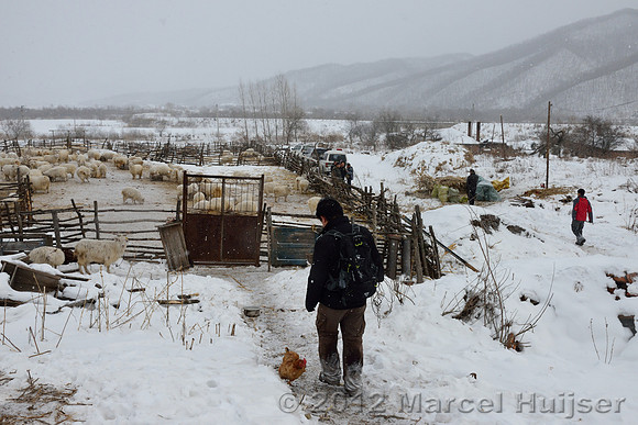 Removing snares and traps (potentially old, potentially removed from forest by farmer) from a shed at the farm, Jilin Province, China