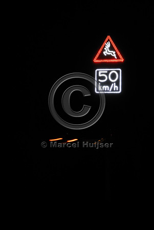 Animal detection system at night, Harderwijk, The Netherlands