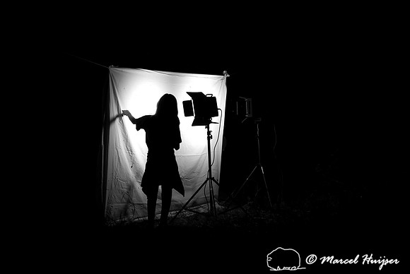 Moth night, attracting moths and other invertebrates using light