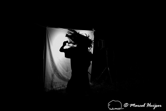 Moth night, attracting moths and other invertebrates using light
