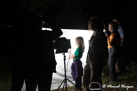 Moth night, attracting moths and other invertebrates using light