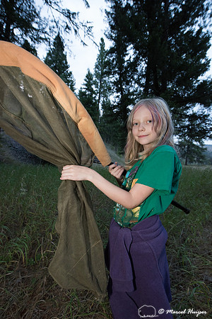 Moth night, attracting moths and other invertebrates using light