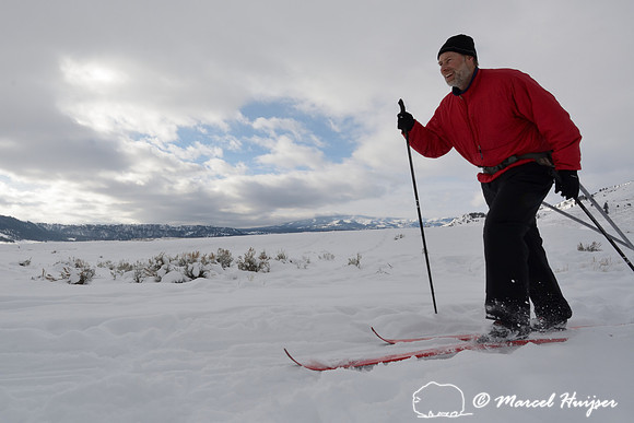 Marcel Huijser pulls cargo sled on cross country skis, Wyoming, USA