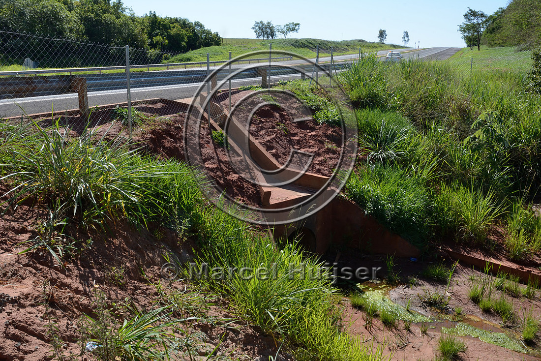 Multi-functional culvert, SP-270 about 70 km south east of Presidente Prudente, São Paulo, Brazil