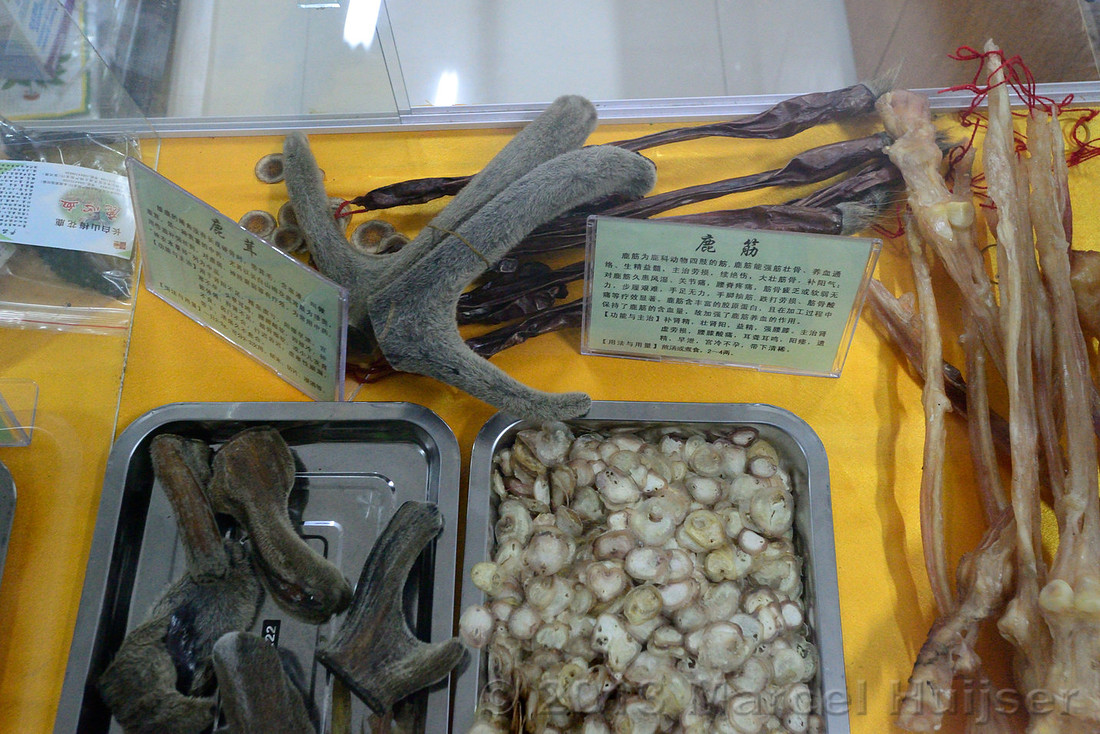 Chinese medicine, deer antlers (probably sika deer), and other animal products, Èrdàobáihé, Jilin Province, China
