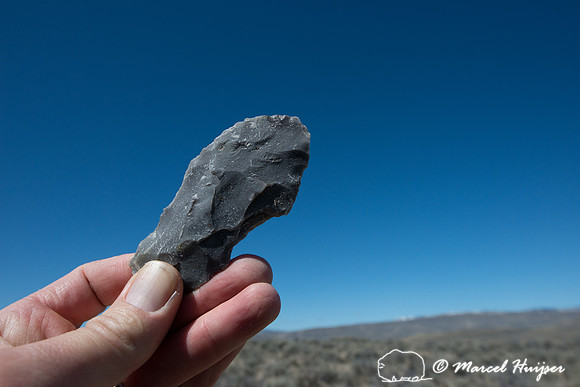 Ancient stone tool, perhaps a scraper, used by native Americans,