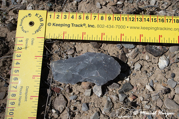 Ancient stone tool, perhaps a scraper, used by native Americans,