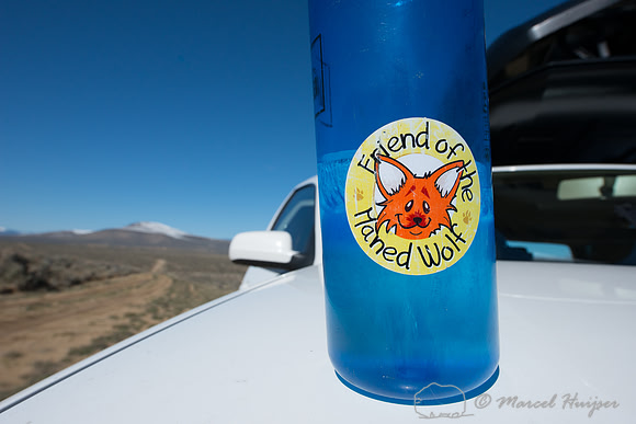 Frozen water bottle with sticker, friend of the maned wolf, Mont