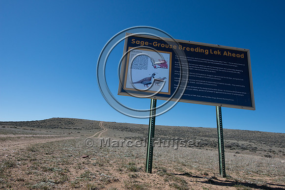 Sign, sage-grouse breeding lek ahead,  Montana, USA