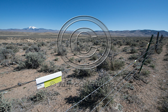 Fence markers to  reduce sage grouse strikes, Montana, USA