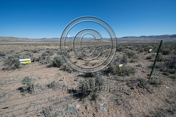 Fence markers to  reduce sage grouse strikes, Montana, USA