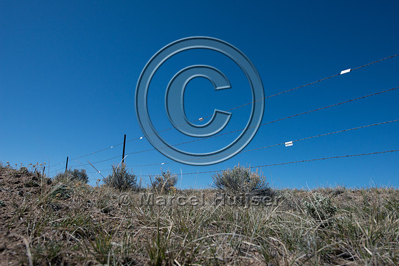 Fence markers to  reduce sage grouse strikes, Montana, USA