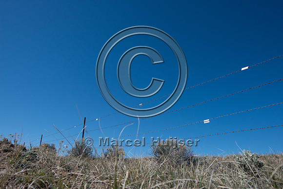 Fence markers to  reduce sage grouse strikes, Montana, USA