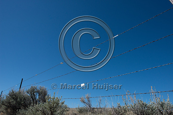 Fence markers to  reduce sage grouse strikes, Montana, USA