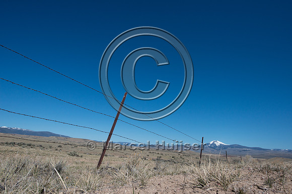 Fence without markers to  reduce sage grouse strikes, Montana, USA