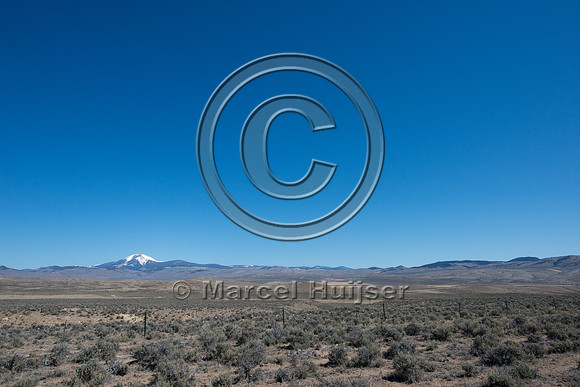 Fence markers to  reduce sage grouse strikes, Montana, USA