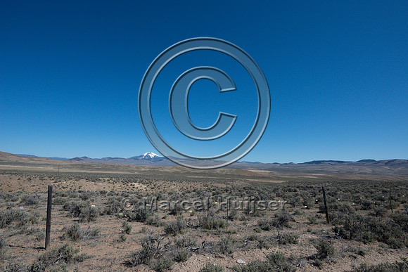 Fence markers to  reduce sage grouse strikes, Montana, USA
