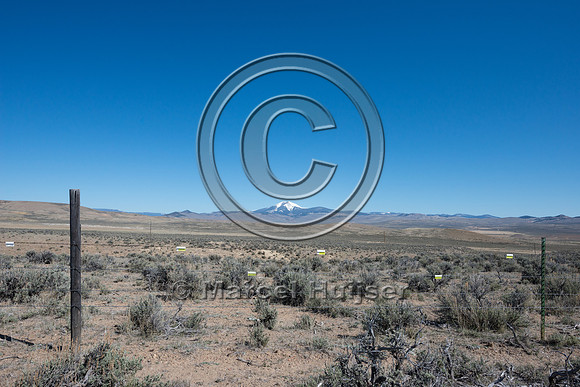 Fence markers to  reduce sage grouse strikes, Montana, USA