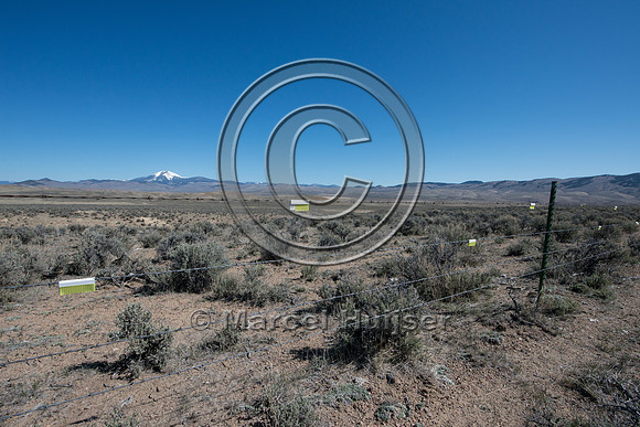 Fence markers to  reduce sage grouse strikes, Montana, USA