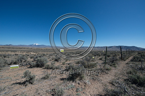 Fence markers to  reduce sage grouse strikes, Montana, USA