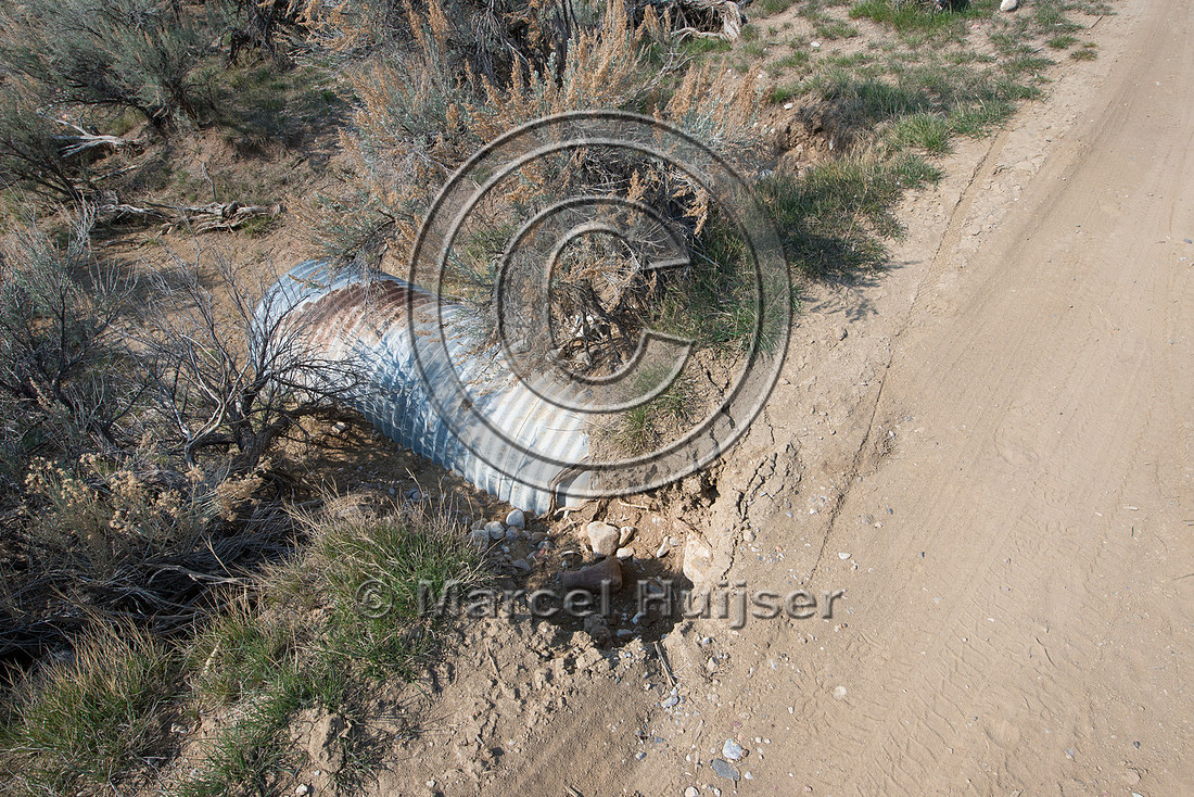 Runoff from dirt road causes erosion at culvert, Montana, USA