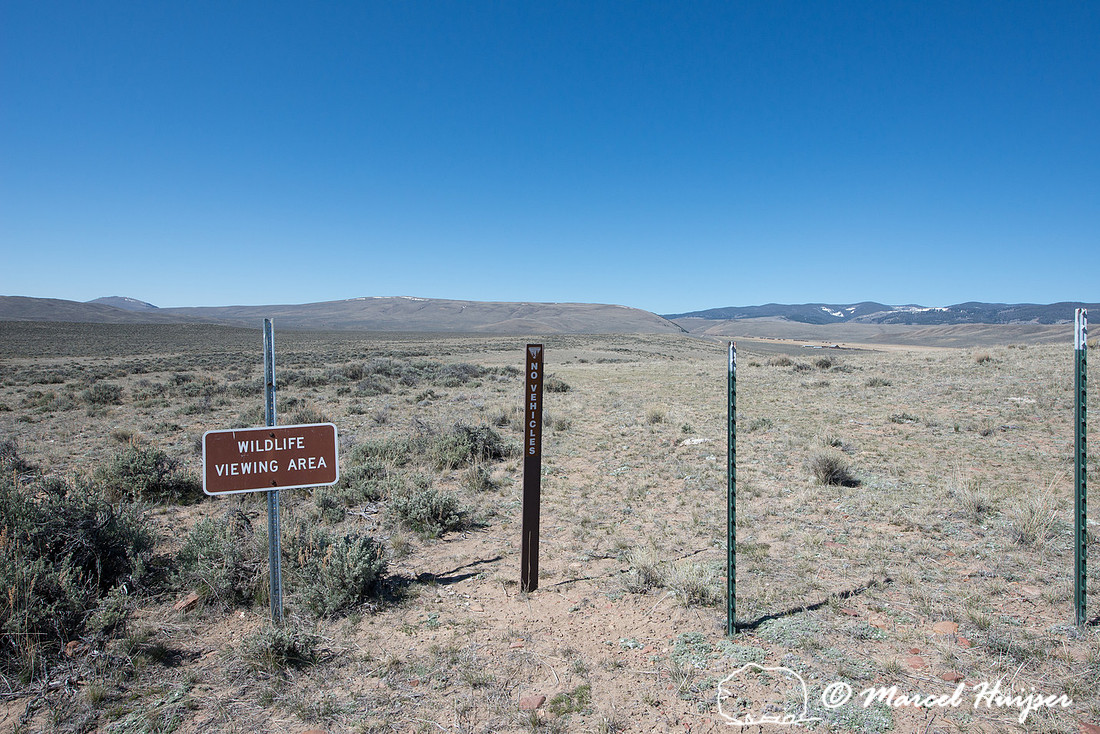 Sign, sage-grouse breeding lek ahead,  Montana, USA