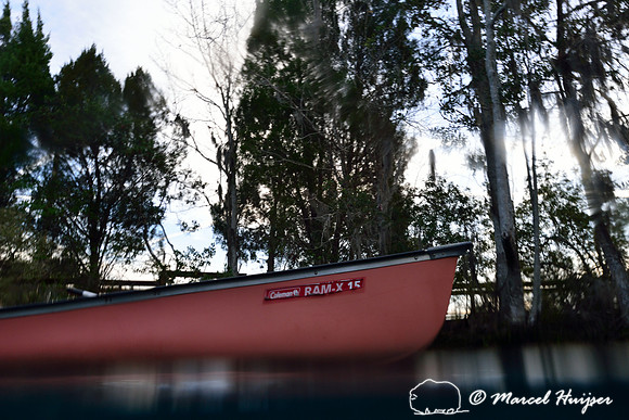 Canoe in springs, Crystal River, Florida, USA