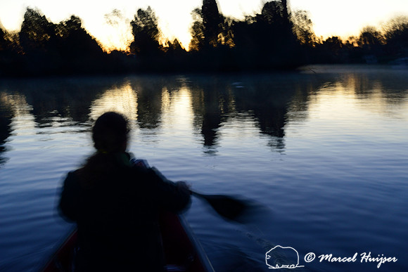 Paddling towards the spring where the manatees are at first light, Crystal River, Kings Bay, Florida, USA.