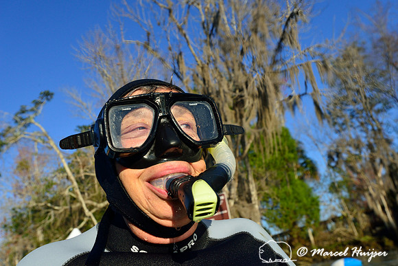 Snorkeling with the manatees