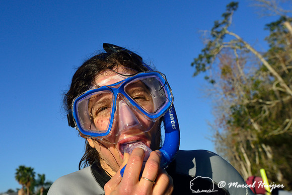 Snorkeling with the manatees