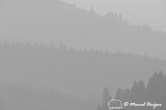 Forested ridges and smoky skies, Missoula, Montana, USA