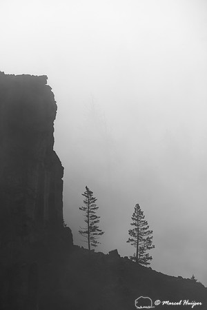 Trees and cliffs in morning fog above Yellowstone River at Tower