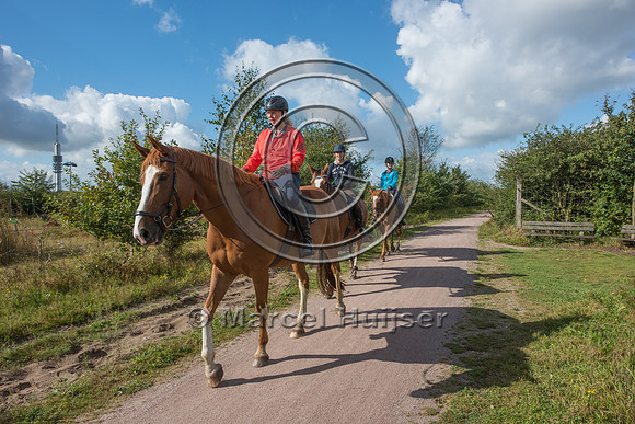 Horseback riders on ecoduct Crailoo, The Netherlands