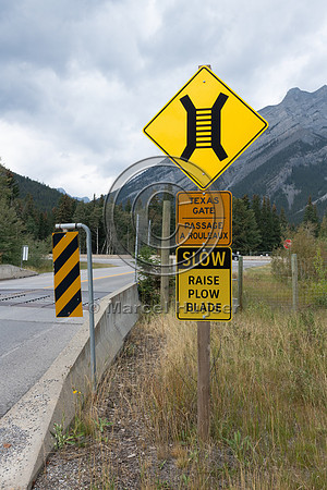 Electrified barrier to keep bears off the highway, exit Compound