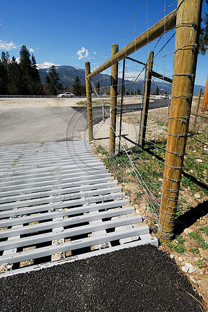 Wildlife guard, near Victor, Montana, USA