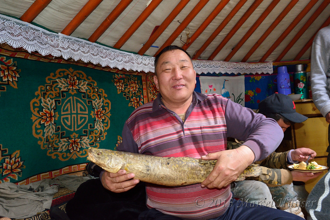 Suuri holding a frozen fish that was caught in the Onon river, near Norovlin, Khentii, Mongolia