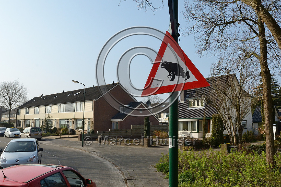 Wildlife warning sign, Seasonal warning sign for common toads (Bufo bufo) during spring migration, Soest, The Netherlands