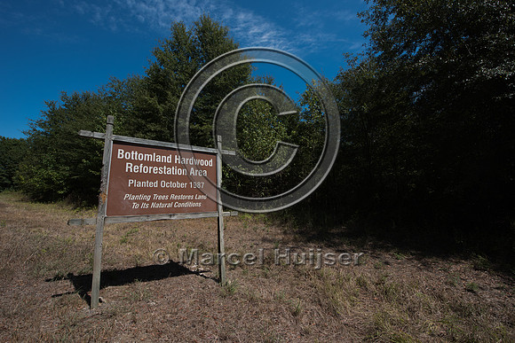 Sign, Bottomland hardwood reforestation area, planted October 19