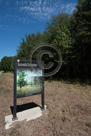 Sign, Bottomland hardwood ecological restoration, Tensas River N