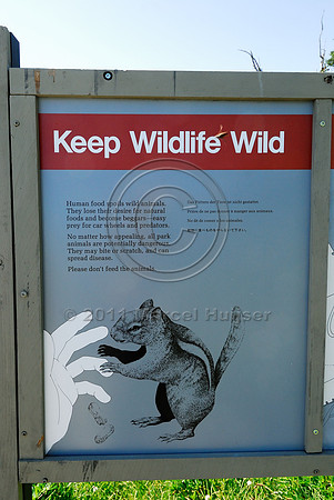 Warning sign, do not feed animals, WA