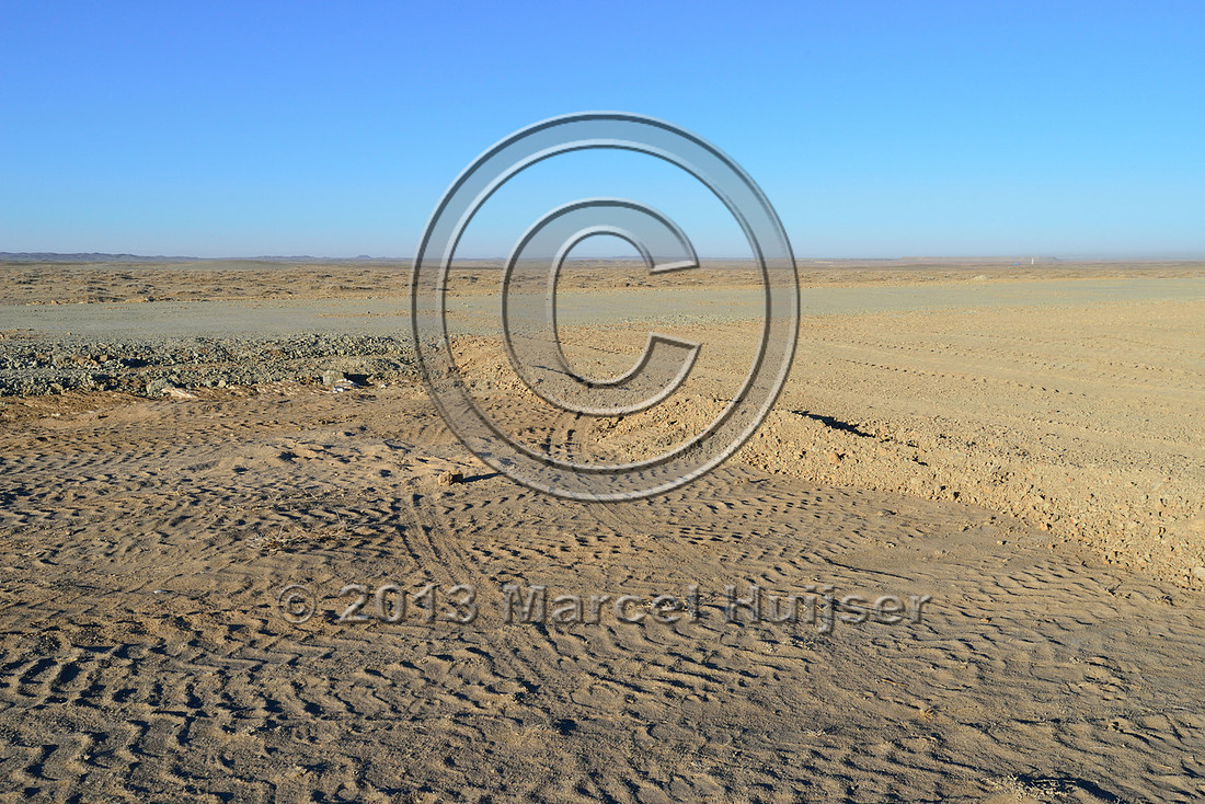 Road ecology blog: Livestock crossing along road from Oyu Tolgoi (mine site) to Gashuun Sukhait (border Mongolia/China), Gobi, Ömnögovi, Mongolia