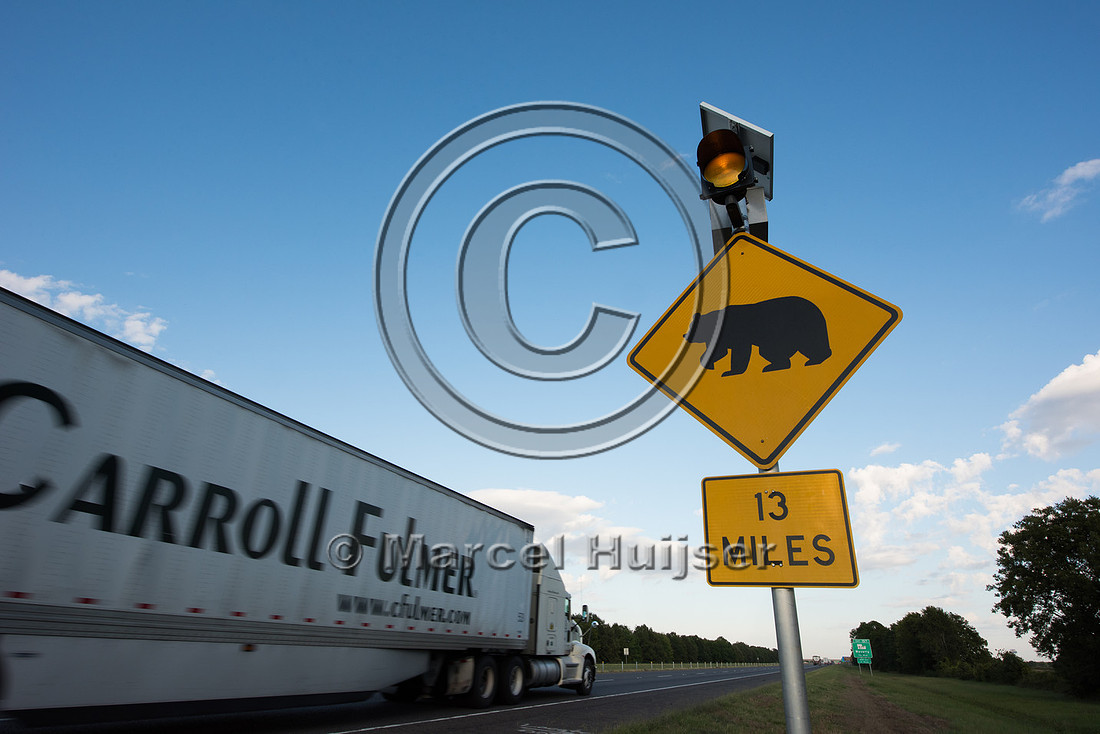 Permanently flashing warning sign for Louisiana black bear (Ursu