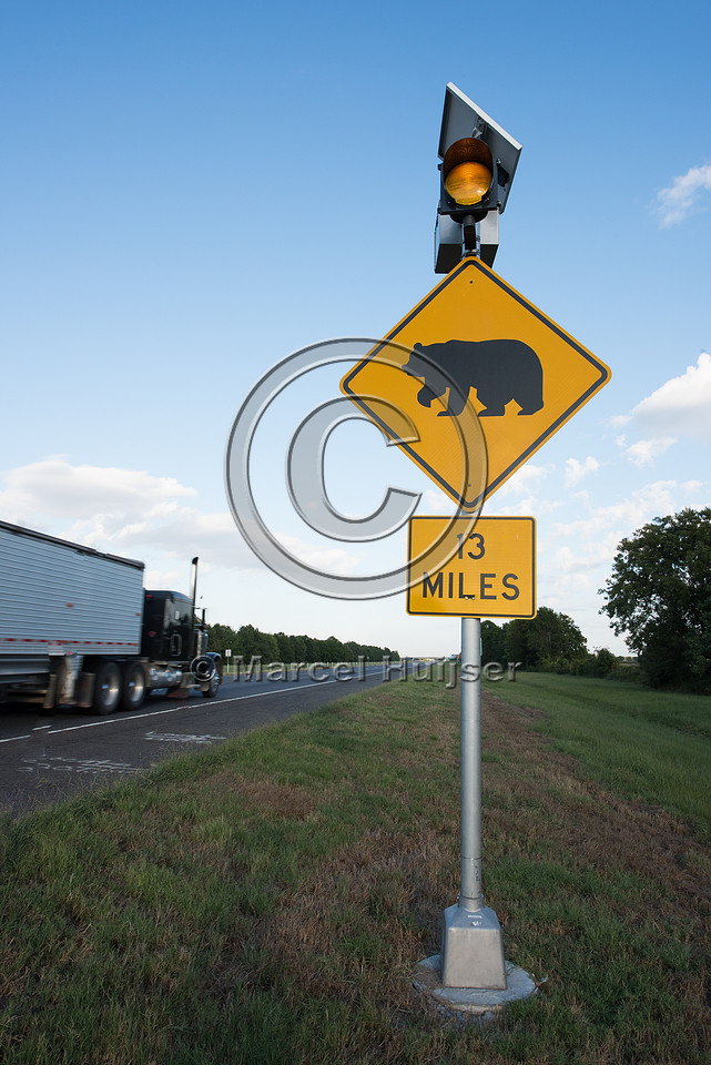 Permanently flashing warning sign for Louisiana black bear (Ursu