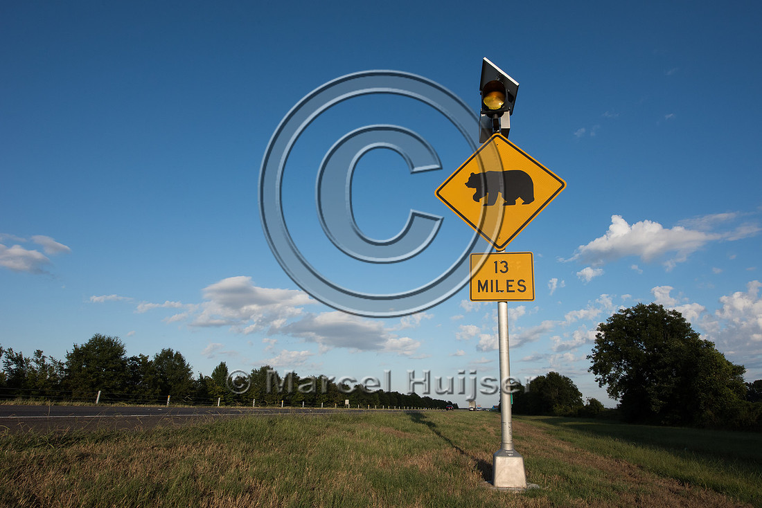 Permanently flashing warning sign for Louisiana black bear (Ursu