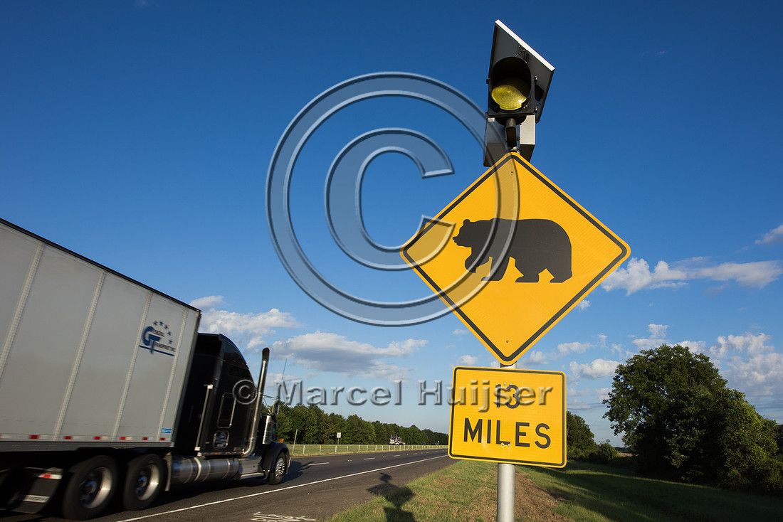 Permanently flashing warning sign for Louisiana black bear (Ursu