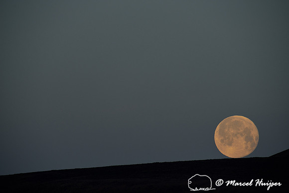 Oops... full moon rolling down the hill, near Bannack, Montana, USA