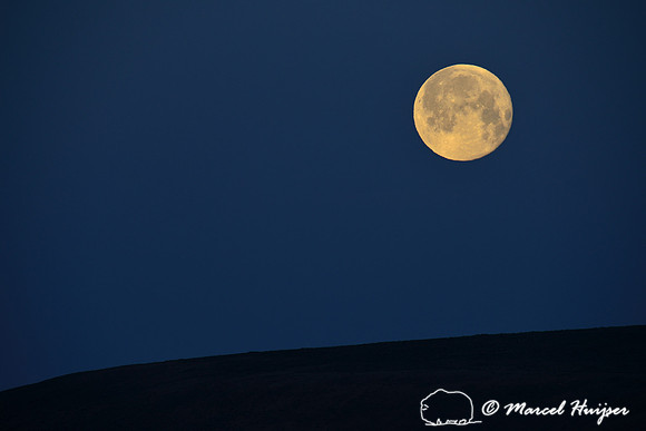 Full moon setting on the horizon, near Bannack, Montana, USA