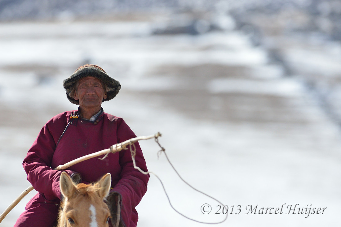 Travel: Livestock herder on horse with an "uurga" (a long pole with a noose on the end), to catch stray domesticated horses, Hustai Nuruu National Park, Töv, Mongolia