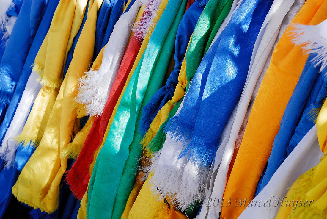 Silk scarves tied to birch branches, Hustai Nuruu National Park, Töv, Mongolia
